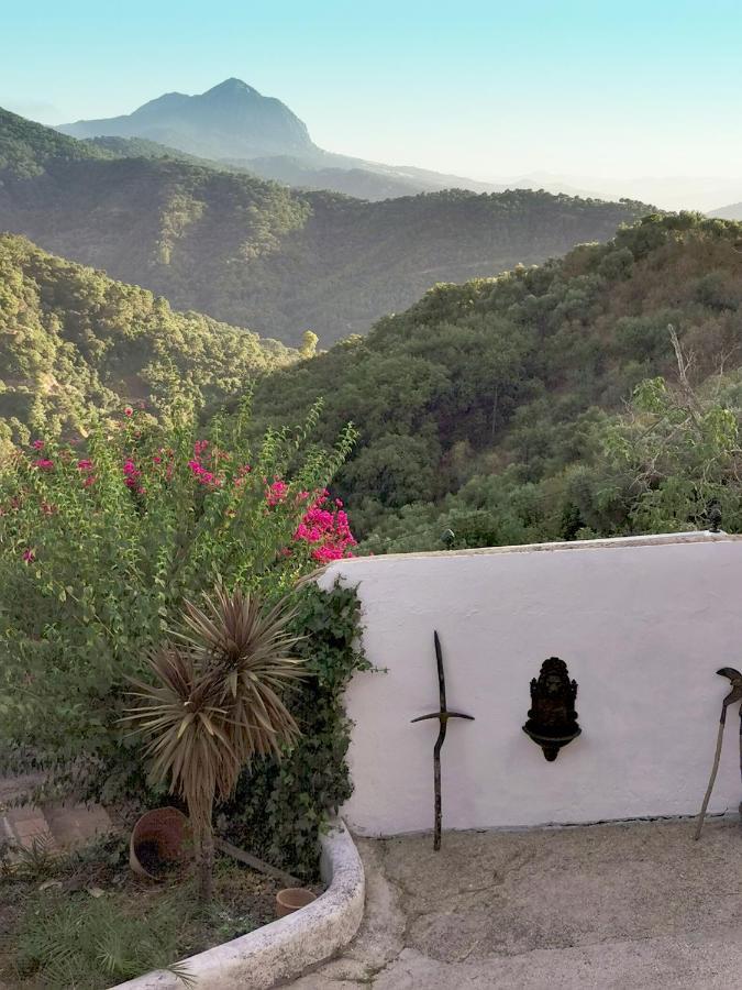 Naturaleza Y Arte En La Casa Del Molino Хенальгвасиль Экстерьер фото